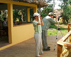 The Lodge at Big Falls in the Toledo District of Southern Belize is a first class ecolodge in a beautiful rainforest setting near Mayan Ruins, jungle rivers and local culture offering superb birding, kayaking, hiking, snorkelling, tropical flora and fauna, jungle trekking and a wide range of tours with excellent guides