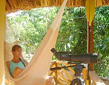 The Lodge at Big Falls in the Toledo District of Southern Belize is a first class ecolodge in a beautiful rainforest setting near Mayan Ruins, jungle rivers and local culture offering superb birding, kayaking, hiking, snorkelling, tropical flora and fauna, jungle trekking and a wide range of tours with excellent guides