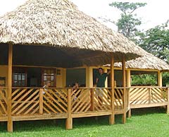 The Lodge at Big Falls in the Toledo District of Southern Belize is a first class ecolodge in a beautiful rainforest setting near Mayan Ruins, jungle rivers and local culture offering superb birding, kayaking, hiking, snorkelling, tropical flora and fauna, jungle trekking and a wide range of tours with excellent guides