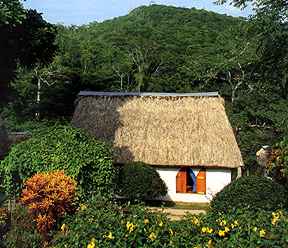 Chaa Creek Cottages, Jungle Lodge, Inland Expeditions and Spa - pioneers in natural history travel to Belize.