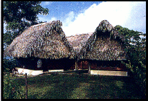 Fallen Stones Butterfly Ranch and Jungle Lodge in the Toledo District 
of Southern Belize