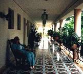 Ann working hard in Uxmal!