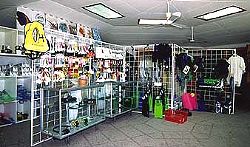 Ocean Encounters Curacao