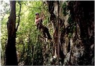 Crystal Caves & Coral Cayes Adventure Tour to Belize 
combines the tropical jungle, the caves and caverns, the underground river caves, the lost Maya ruins, burial sites and ceremonial centers, the 
indigenous wildlife and the ancient mysticism that surrounds it all with an idyllic island on the Southern Belize Barrier Reef where you can sit back 
and relax or enjoy amazing scuba diving, snorkeling, kayaking or other watersports