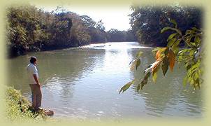 Waterfall at Warrie Head Lodge, Cayo, 
Belize